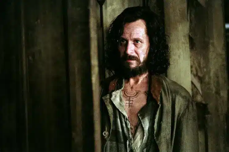 Gary Oldman, Harry Potter, retirado de la actuación, Sirius Black
