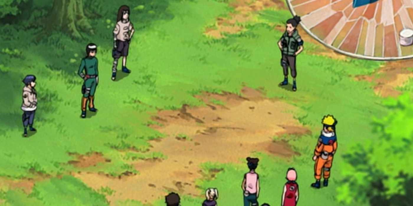 Un grupo de ninjas de Naruto en un campo.