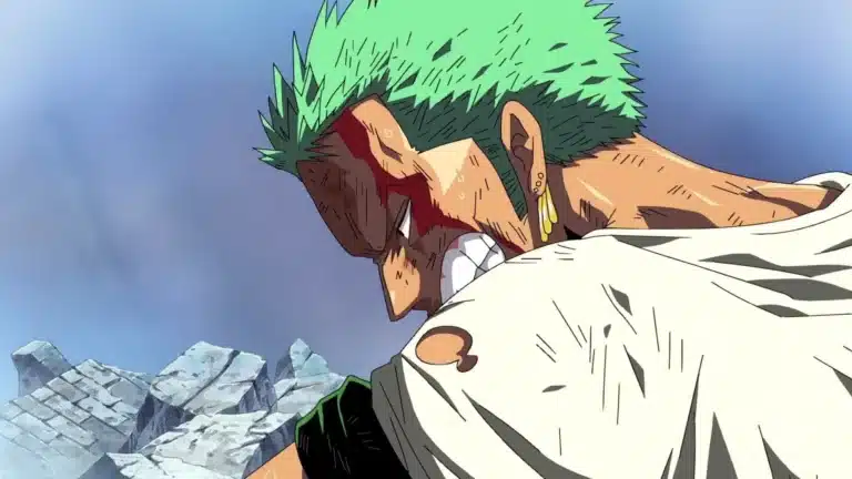 One piece will have its own novel about the past hunting robbers One piece will have its own novel about the past hunting robbers