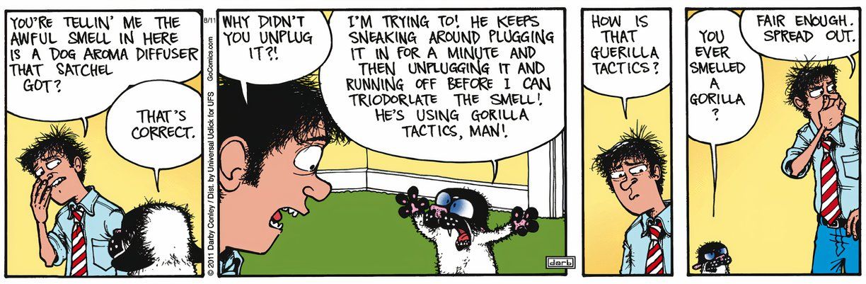 Esta divertida tira cómica presenta a Bucky Katt