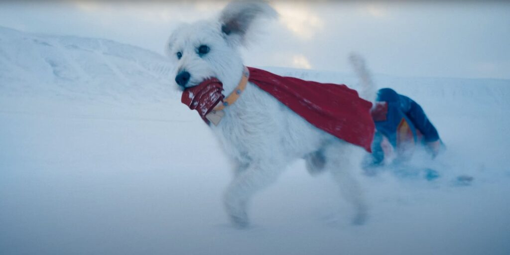 Superman 2025 Krypto carries Superman at home