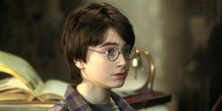 Harry Potter se ve confundido con Harry Potter y la piedra del hechicero.