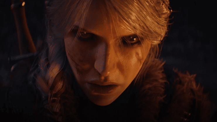 The Witcher