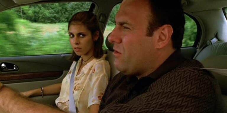 The sopranos star joins the beloved series Netflix with a 78% RT score