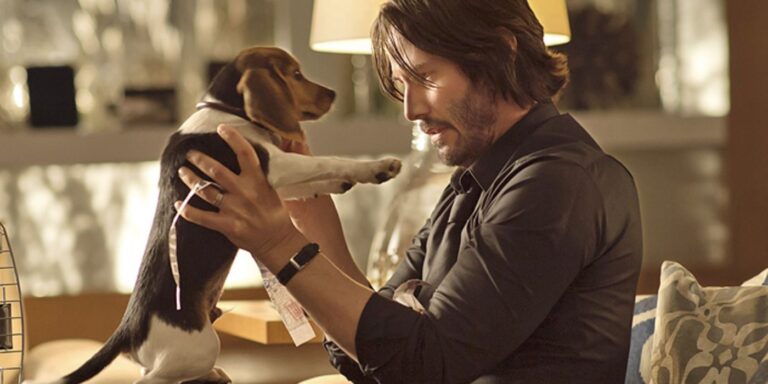 The vengeful thriller of $ 86 million which launched the action franchise of $ 1 million in Keanu Reeves arrives at Prime Video